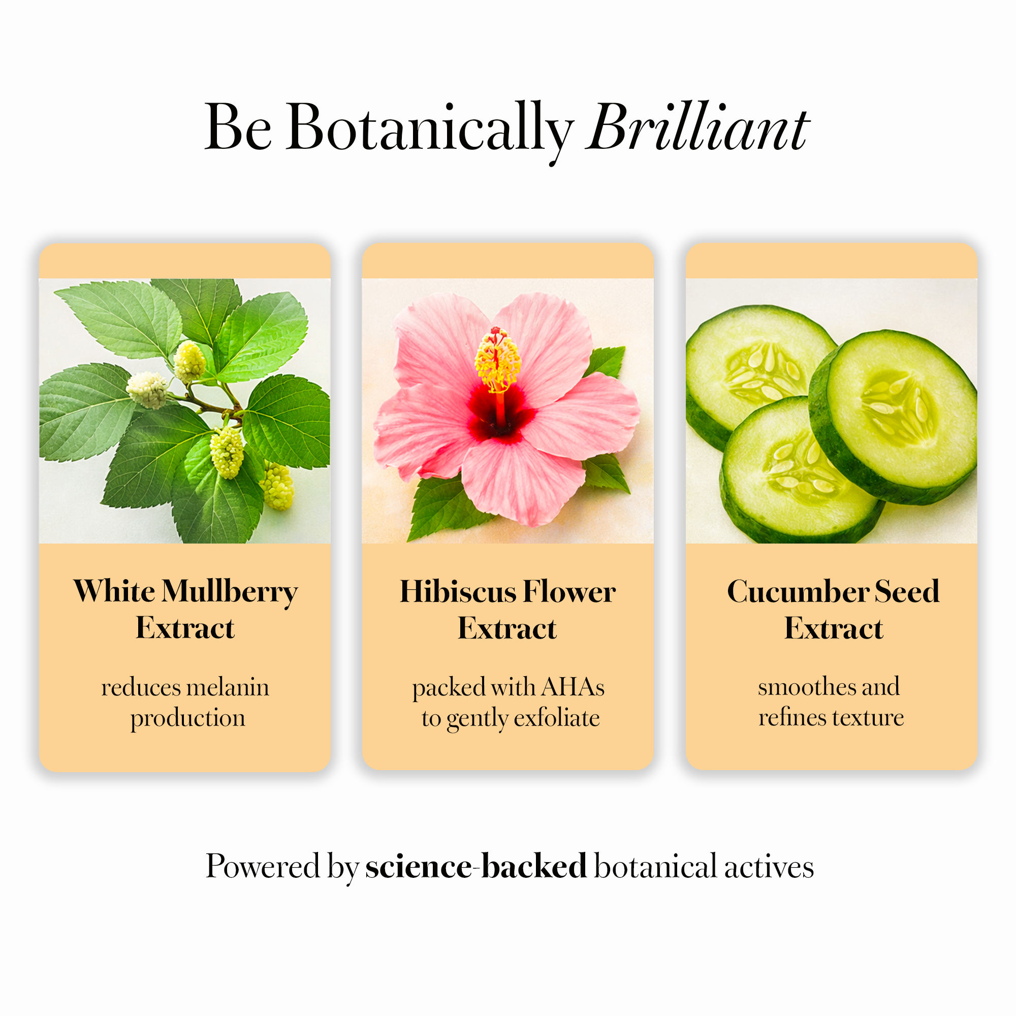 Botanical ingredient graphic for GLOWrious Serum featuring white mulberry extract, hibiscus flower extract, and cucumber seed extract.