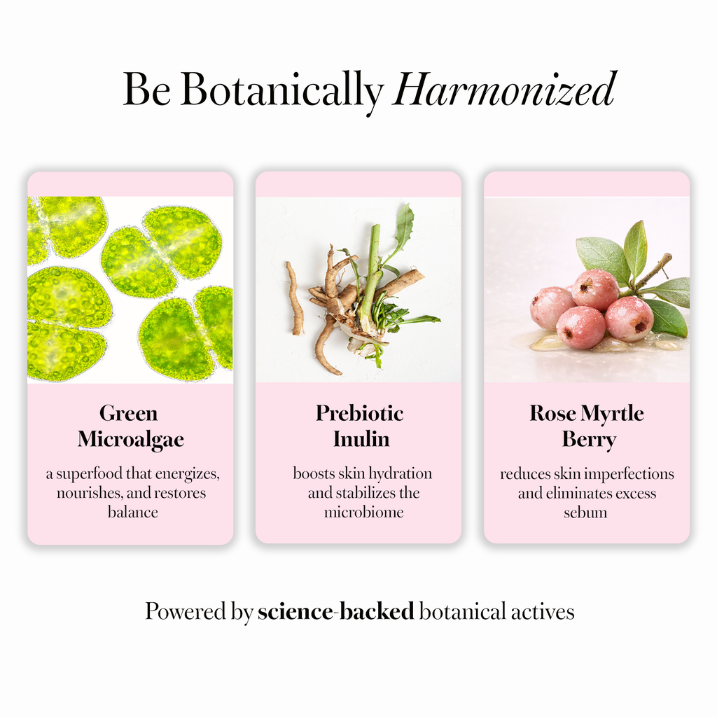 Botanical ingredient graphic for POREfection Serum featuring green microalgae, prebiotic inulin, and rose myrtle berry.